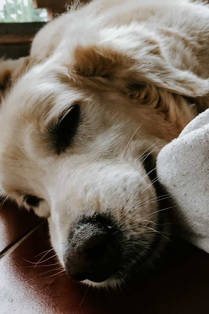 Rocco with his blanky in Sanggingan